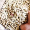 Wholesale Pumpkin Seeds