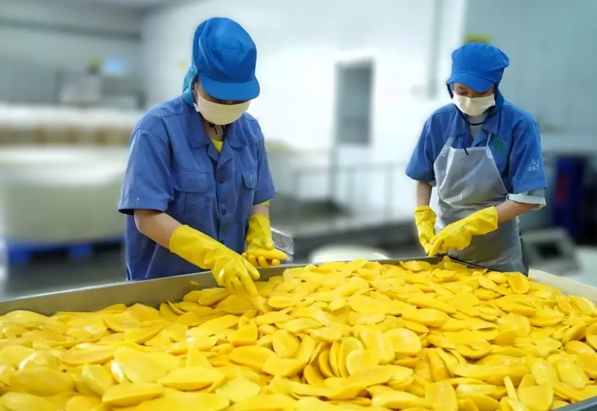 Xoài Sấy Dẻo Hatafood