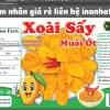 Xoài Sấy Dẻo Muối Ớt Hatafood Giá Sỉ | Xưởng Sản Xuất – Hợp Tác Thương Hiệu Riêng - Image 2